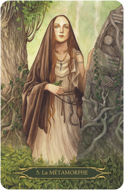 Coffret oracle Sagesse de sorcières