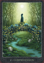 Oracle Sagesse de la terre